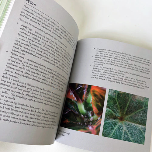 Book - Yates Top 50 Indoor Plants and How Not to Kill Them